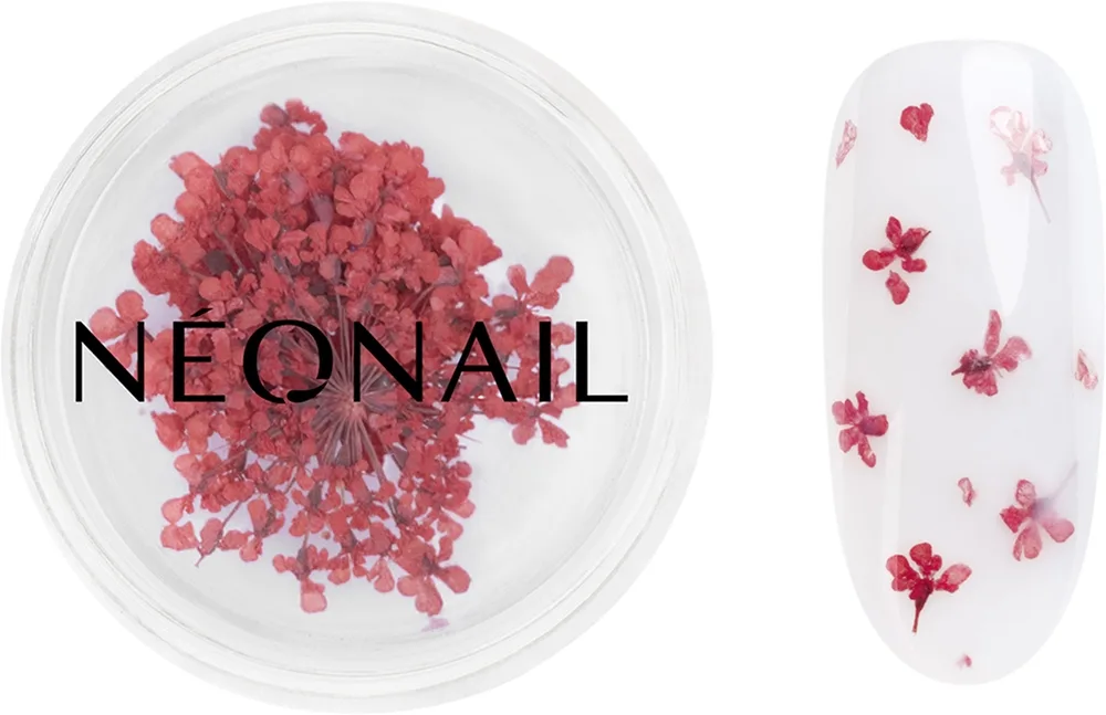 NEONAIL Dried flowers