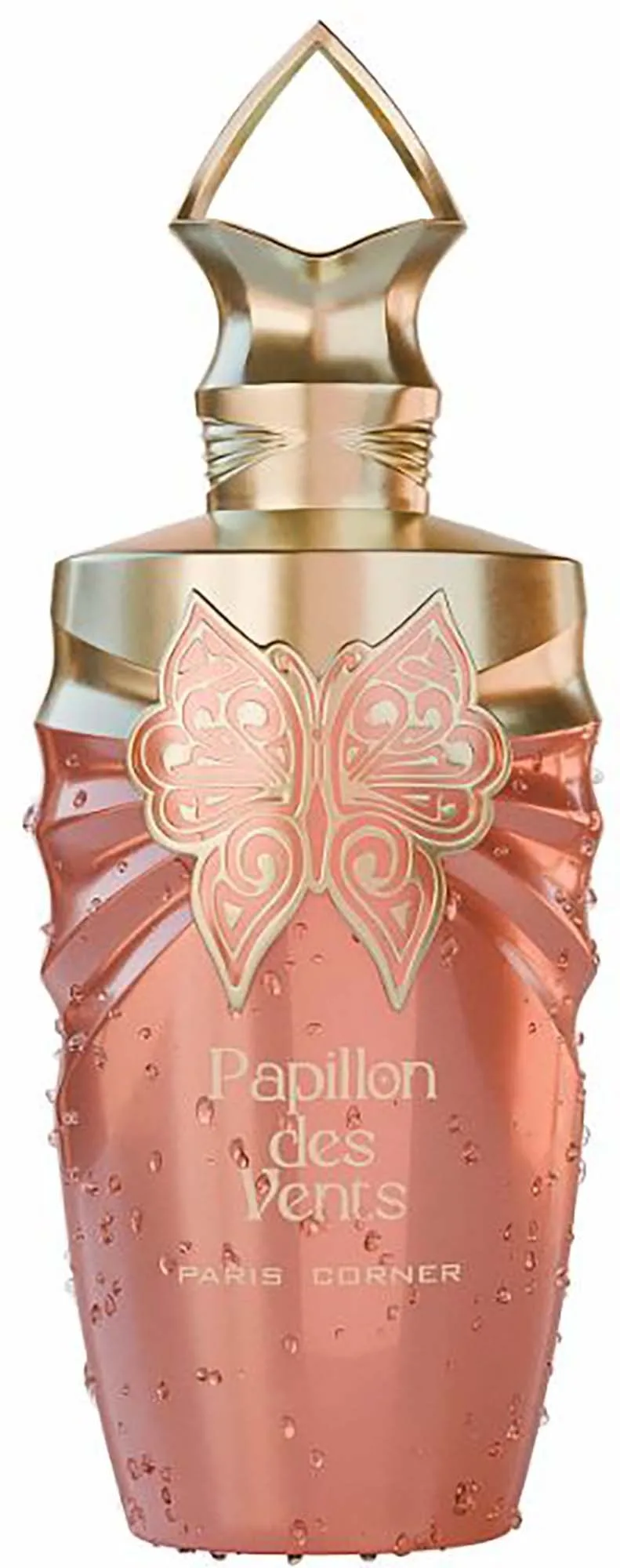 Paris Corner Papillons Des Vents Eau de Parfum 100 ml