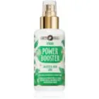 Purity Vision BIO Hydro Fuktgivande ansiktstoner för problematisk hud 100 ml