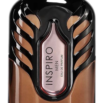 Riiffs Inspiro Men Eau de Parfum för män 100 ml