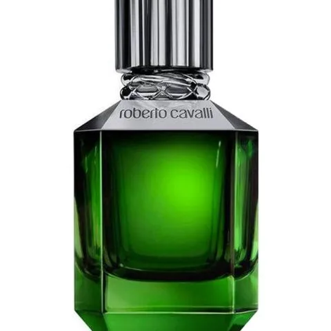 Roberto Cavalli Paradiso Found for Men EDT 75 ml