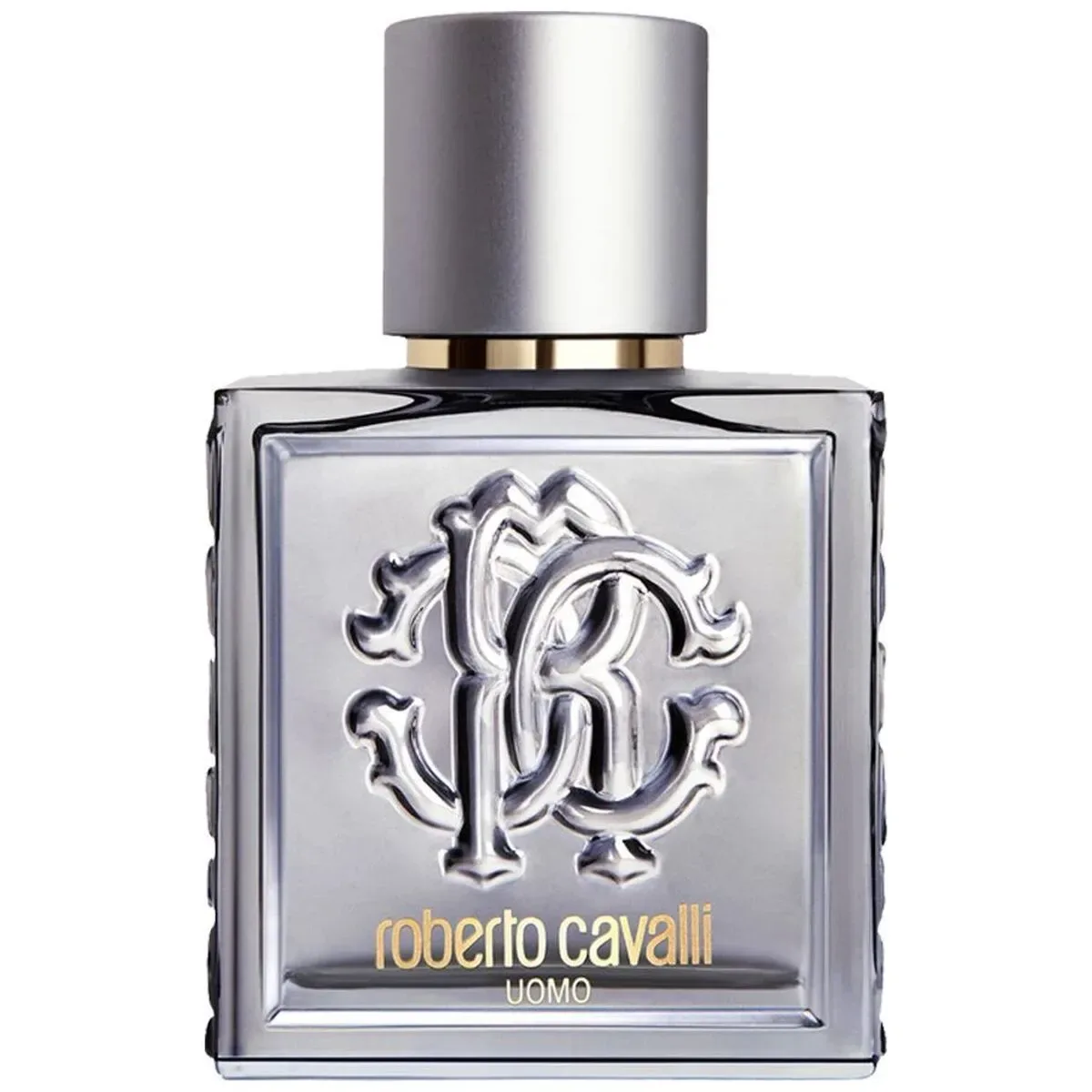Roberto Cavalli Uomo Silver Essence edt 100ml