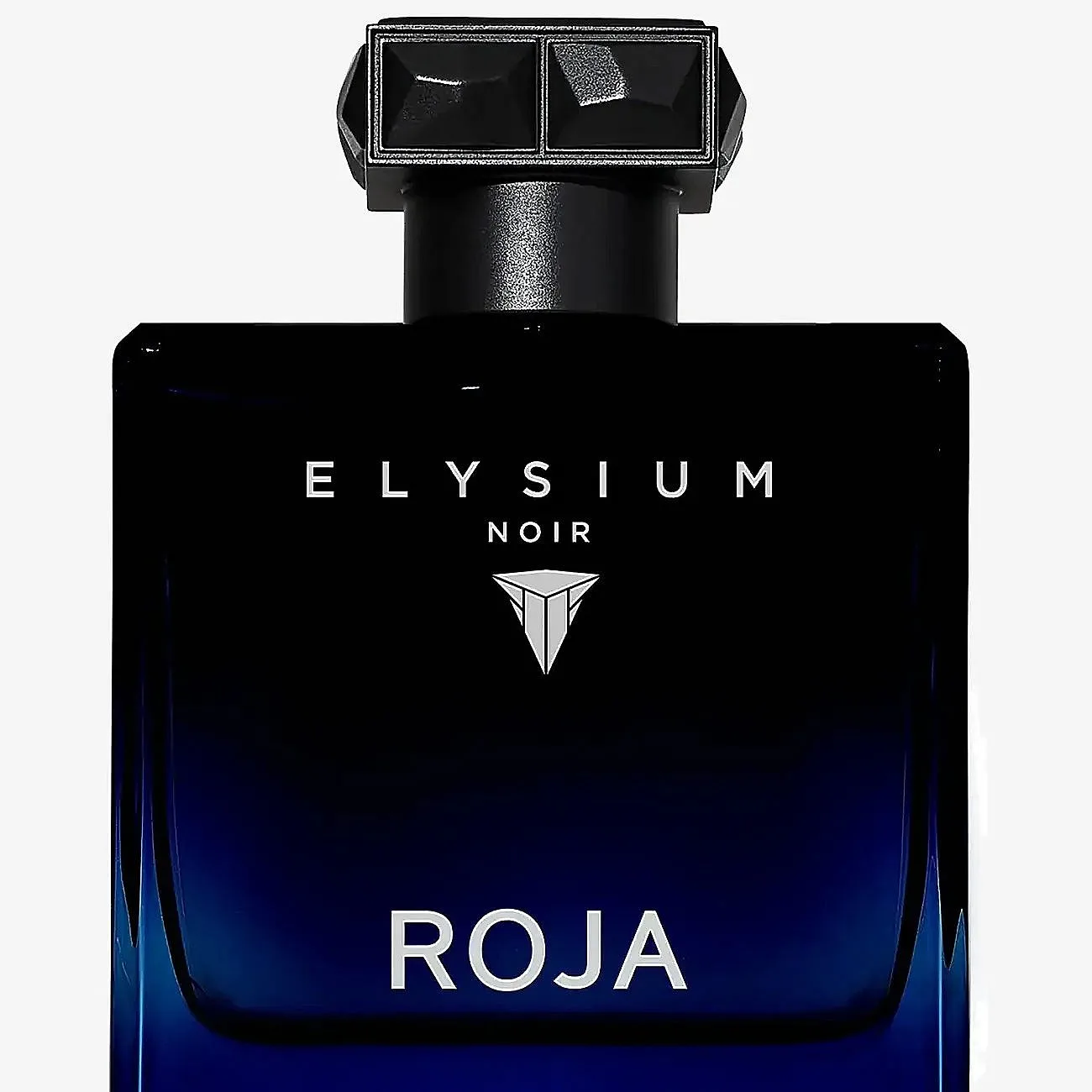 Roja Elysium Noir Pour Homme Edp 100 Ml - Nude - 100 ML