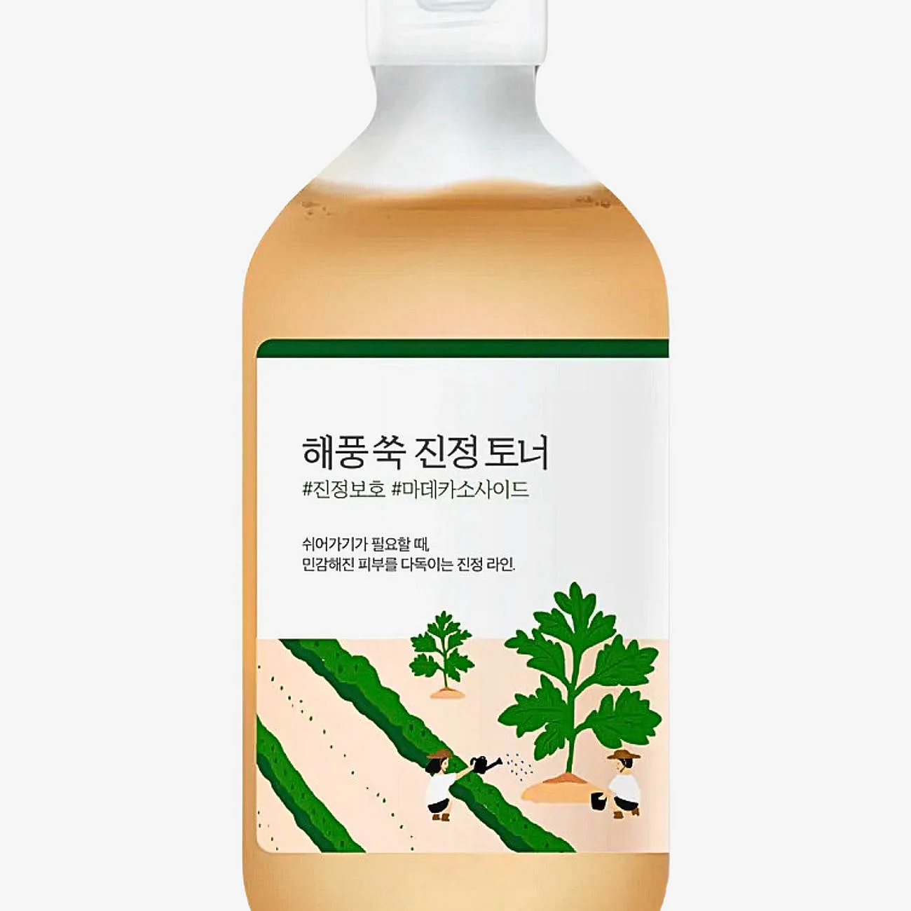 Round Lab Mugwort Calming Toner