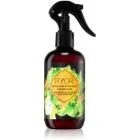 RYOR Hair Care Accelerator för hårtillväxt 250 ml