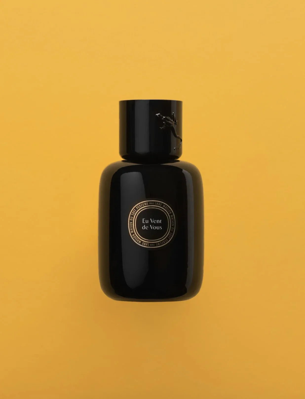 Sabé Masson - Le Soft Perfume Liquide EdP "Eu Vent de Vous", 100ml