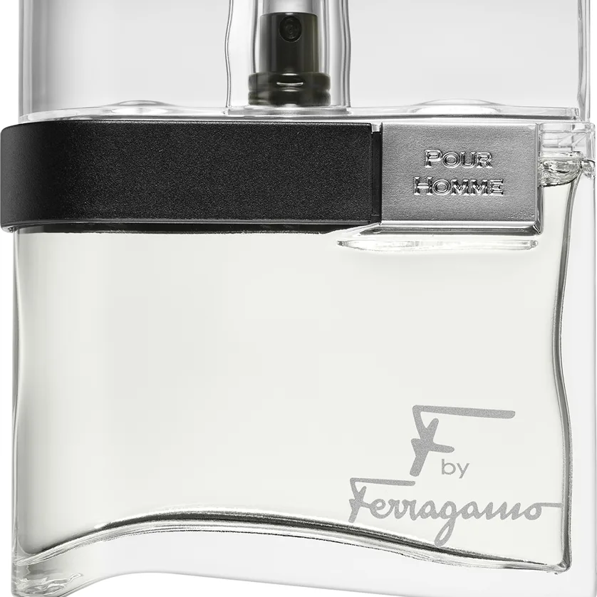 Ferragamo F by Ferragamo Eau de Toilette för män 100 ml