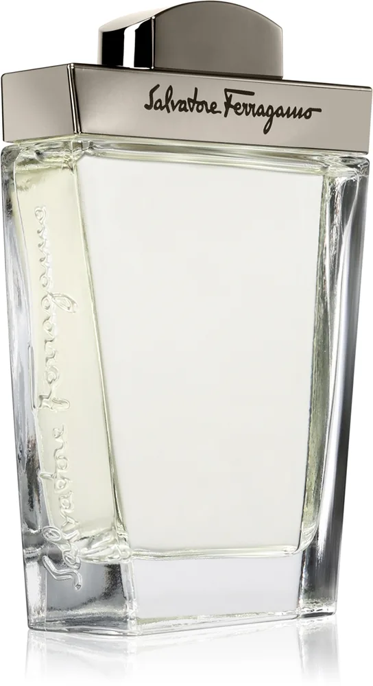 Ferragamo Pour Homme Eau de Toilette til mænd 100 ml