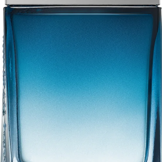Ferragamo Subtil Pour Homme Eau de Toilette för män 50 ml