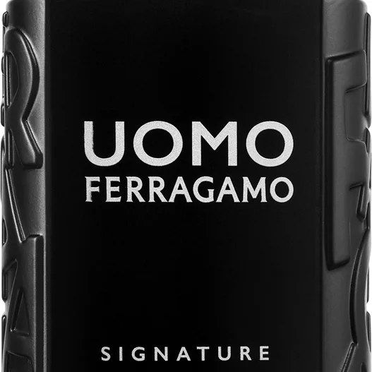Ferragamo Uomo Signature Eau de Parfum för män 100 ml