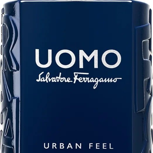 Ferragamo Uomo Urban Feel Eau de Toilette til mænd 30 ml
