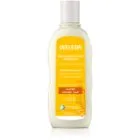 Weleda Replenish & Care Uppbyggande schampo Schampo