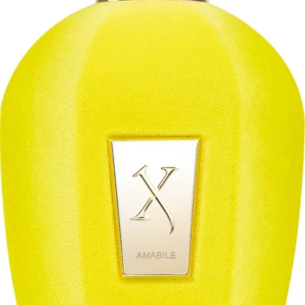 Xerjoff Amabile EDP 100 ml