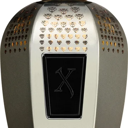 Xerjoff Tony Iommi Monkey Special Parfum 100 ml