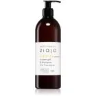 Ziaja Baltic Home Spa Vitality Brusegel til ansigt, krop og hår 500 ml
